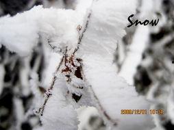 那一年寒冬,岁月静好，时光如梭