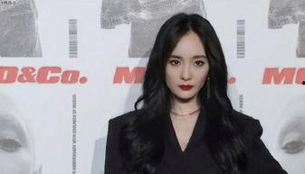 女总裁还乡又美又飒,风采依旧，飒爽英姿展新篇