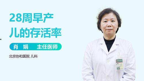 三十二周,岁月流转中的生活轨迹与感悟