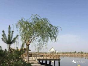 还有诗和远方 不止西湖 第一季,不止西湖，第一季深度游