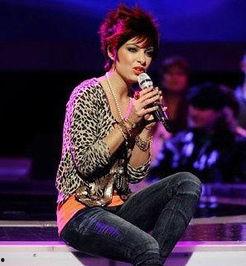 美国偶像 第二十三季,梦想再燃，新星闪耀的歌唱竞技之旅